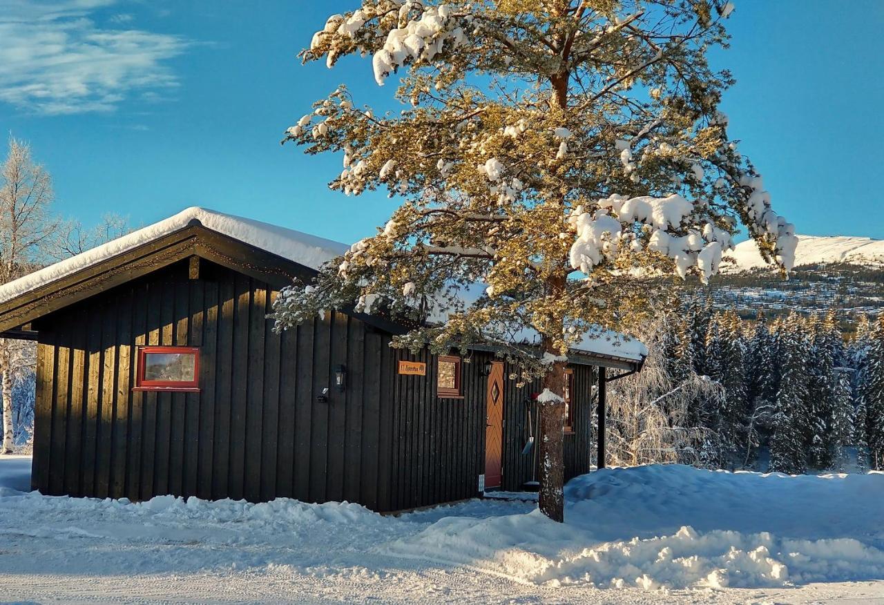 Trysil Hyttegrend Екстер'єр фото