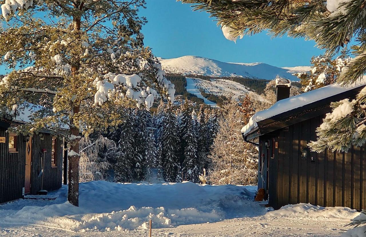 Trysil Hyttegrend Екстер'єр фото
